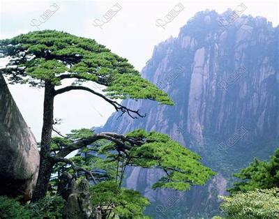 2026年五月黄道吉日查询